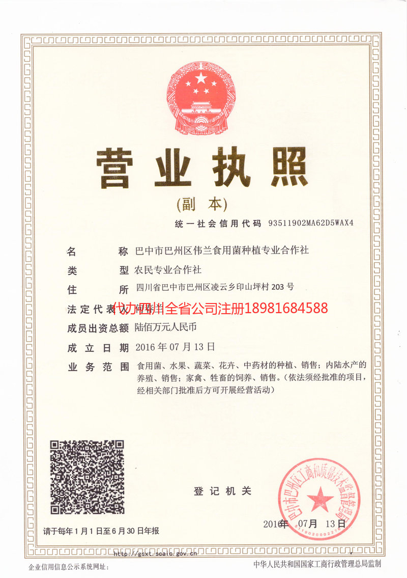 朝阳朝阳伟兰食用菌种植专业合作社